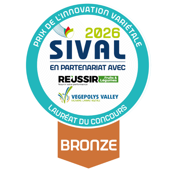 Sival Innovation Bronze